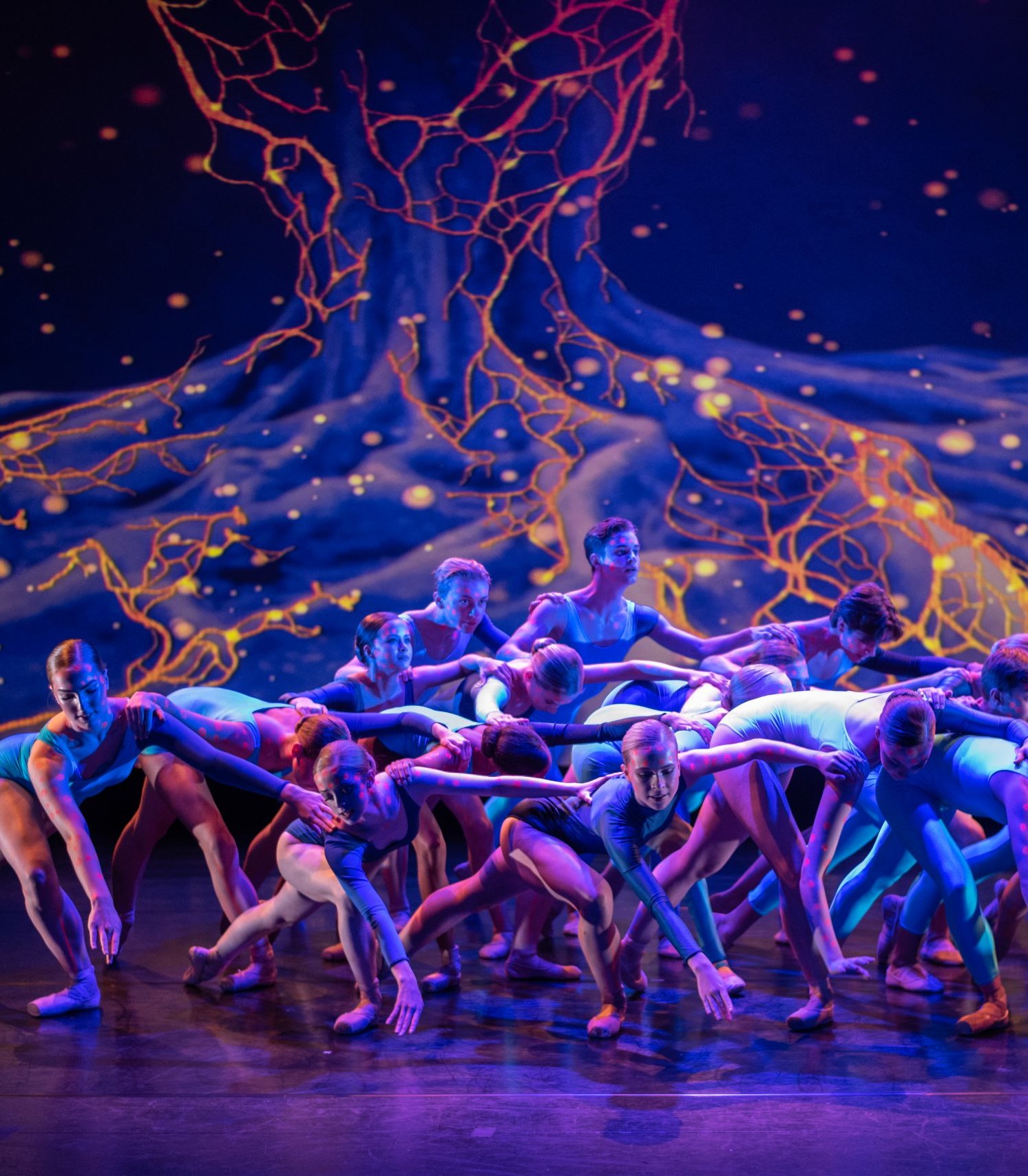 Ephemeral Blueprint by Richard Bermange