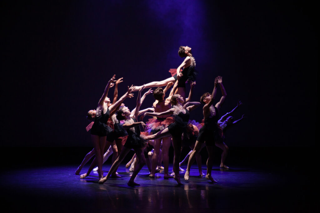 Residential Performance Activities
